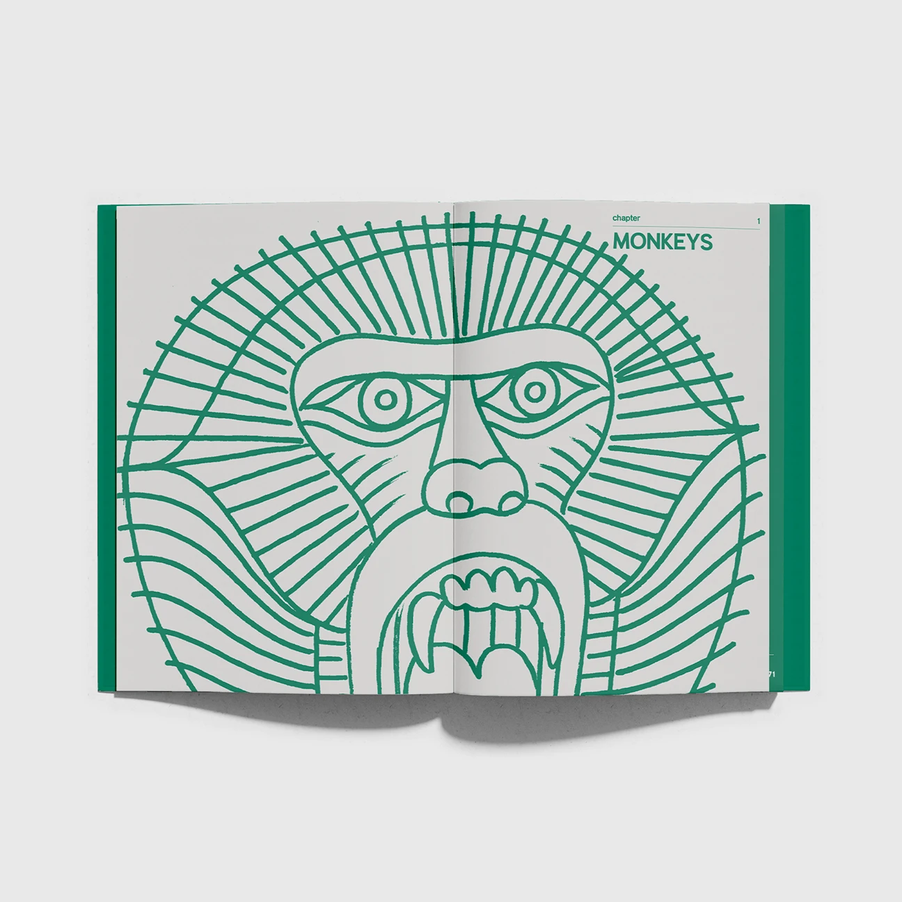 shanetan book open pages