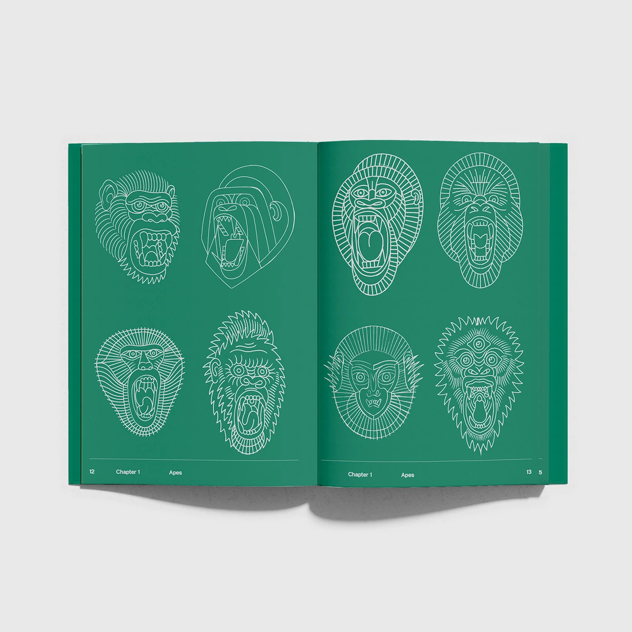 shanetan book open pages