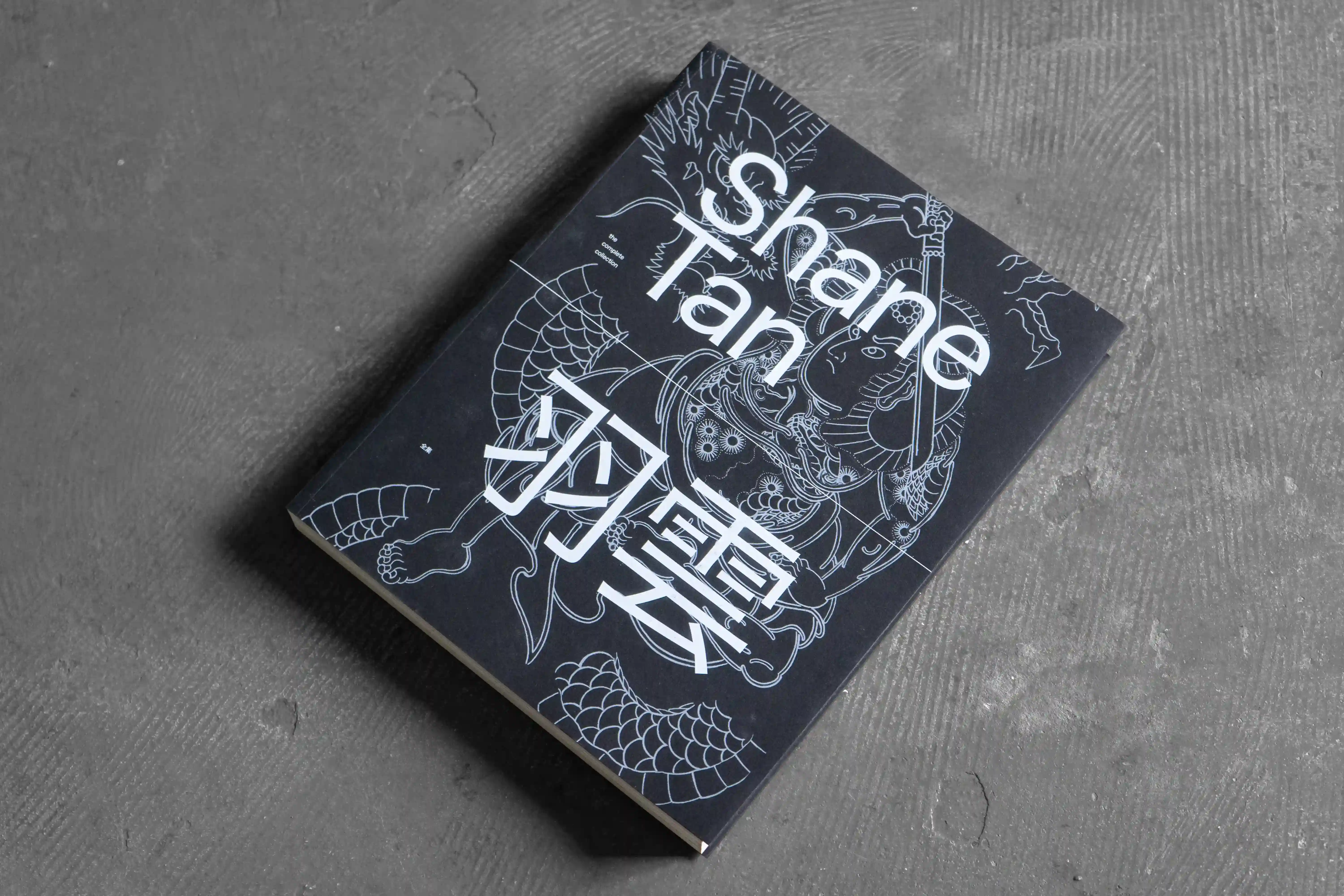 shanetan bookcover